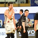 마레이 스포츠경향