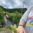 마령초등학교 이미지