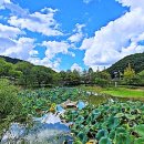 삼기천1 이미지