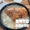 삼계탕전문점하림 | 평택 삼계탕 맛집 누룽지 삼계탕이 맛있는 하림 내돈내산