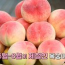 천상 농장 이미지