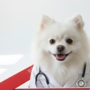 미모힐링카페 이미지