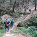 부산시민등산아카데미15기 제170차정기산행 대천천누리길&가람 낙조길 트레킹 이미지