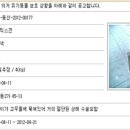 빈이네