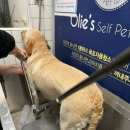 올리스24(세종점) 이미지