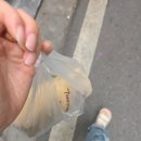 요셉게스트하우스 | 하노이 자유여행 마지막 :: 인생 쌀국수 만남ㅜ 분탕, 도자기 그릇 쇼핑, 반미 마마, 17번버스, 호안...
