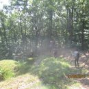 매산목장 이미지