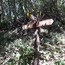 두마농장 이미지