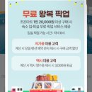 동반84글램핑 | 겨울 가평숙소 애견동반 글램핑 동반84 가격 NOL 할인 꿀팁