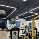 문스타일짐 이미지