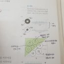 3권 24장 감각계 p.332 측부억제 이미지