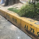 중리동 가구특화거리 이미지