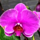 개나리공원2 이미지