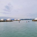 거금해양낚시공원 이미지