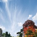 서울 방학동 전형필 가옥 이미지