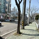 현아보리밥 네이버블로그