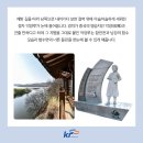 자연의하모니 이미지