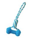 덴탈투유 이미지