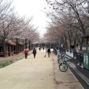 꽃, 이어라 이미지