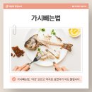 법인두가시