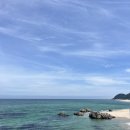 기성망양해수욕장 | 울진여행ㅣ기성망양해수욕장 방면 바다 스노쿨링 후기, 해파리(노무라입깃) 현황