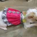 카페미루 이미지