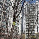 사임당로17길 116 (1) 이미지