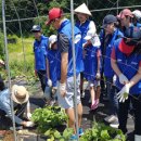 호박손마을 이미지