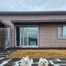 안녕 댕댕아 | 대구 근교 독채애견펜션 합천 댕댕누리 B동 내돈내산후기