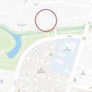 진주혁신레몬(010.8915.7378 이미지