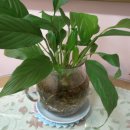 기적소리 이미지