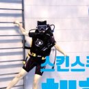 네이스코리아