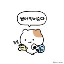 안마당 네이버블로그