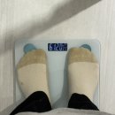 차여 | 마운자로 효과 스위치온 다이어트 1주차 식단 내돈내산 후기