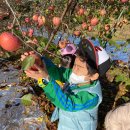 [45] 나무에 과일이 주렁주렁! 에덴 농장 견학 이미지