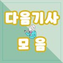 🔎 8월 다음 기사 모음_(2023.08.01~08.31) 이미지