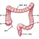 고령자의 암발생은 소염진통제가 주요 원인이다."내가 항암제 투여한 환자 500명, 다 죽었다"＜뉴시스 이미지