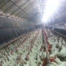 호현농장 이미지