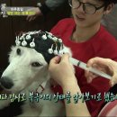 종일농장 이미지