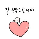 리안헤어검단역점