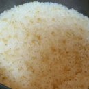 예닮이네 이미지