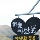 하늘바람꽃농원