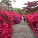 남미륵사 이미지