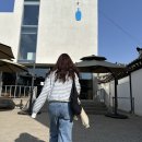 코리아워싱 | 품절대란! 블랙핑크 로제 리바이스 청바지 구매 후기(착용샷 O) | 아이파크몰 리바이스