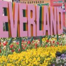 서지관광농원여관 | 아이랑 에버랜드 튤립축제 에버랜드 데이트 튤립축제 얼마? 입장료 날짜