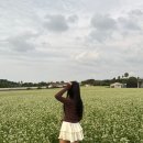 함덕애(愛) 펜션 이미지