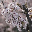 성내천로 이미지