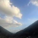 한스바움 이미지