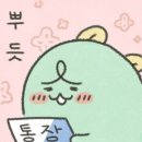 3. 본식스냅 드디어 결정! 다이시스웨딩 후기!!