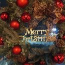 루니코 (L´ unico) 이미지